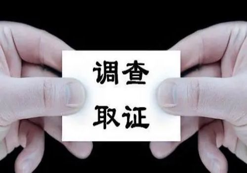 济南出轨取证：非婚生子的抚养权如何判定